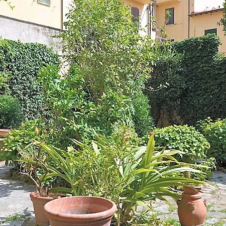 Gini Pisa